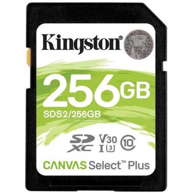 Scheda di Memoria SDHC Kingston 256GB UHS-I Classe10 fino a 100MB